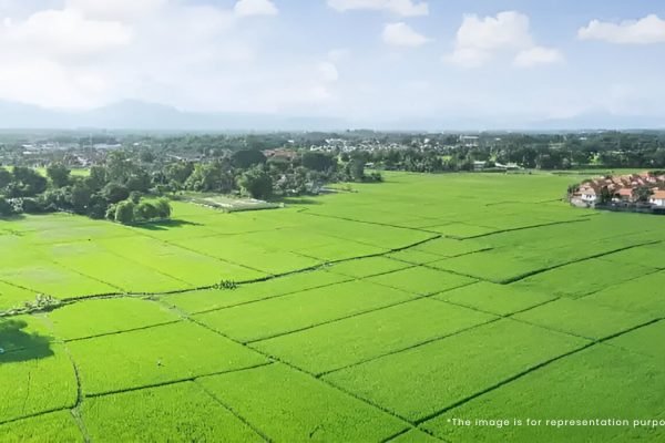 Tata Raagam Plotted development in bangalore plot image